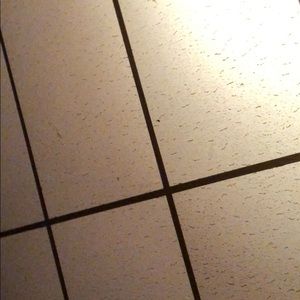 Meet your Posher, Francis